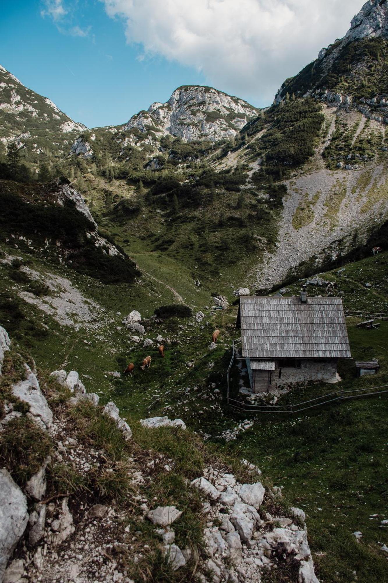 Apartments Povh Ljubno Dış mekan fotoğraf